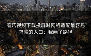 蘑菇视频下载投屏时网络适配最容易忽略的入口：我画了路径