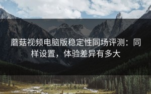 蘑菇视频电脑版稳定性同场评测：同样设置，体验差异有多大
