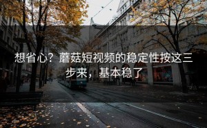 想省心？蘑菇短视频的稳定性按这三步来，基本稳了