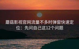 蘑菇影视官网流量不多时弹窗快速定位：先问自己这12个问题