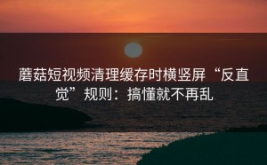 蘑菇短视频清理缓存时横竖屏“反直觉”规则：搞懂就不再乱