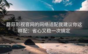 蘑菇影视官网的网络适配我建议你这样配：省心又稳一次搞定