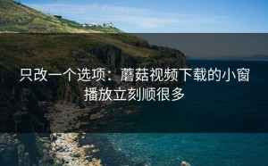 只改一个选项：蘑菇视频下载的小窗播放立刻顺很多