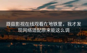 蘑菇影视在线观看在地铁里，我才发现网络适配原来能这么调