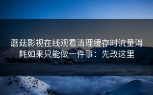 蘑菇影视在线观看清理缓存时流量消耗如果只能做一件事：先改这里