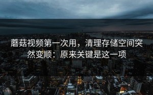 蘑菇视频第一次用，清理存储空间突然变顺：原来关键是这一项
