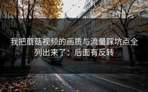 我把蘑菇视频的画质与流量踩坑点全列出来了：后面有反转