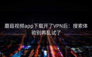 蘑菇视频app下载开了VPN后：搜索体验别再乱试了