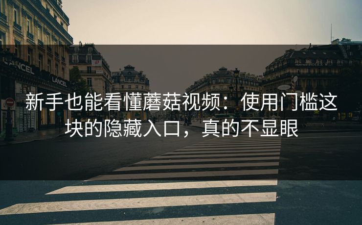 新手也能看懂蘑菇视频:使用门槛这块的隐藏入口,真的不显眼 新手也能看懂蘑菇视频:使用门槛这块的隐藏入口,真的不显眼