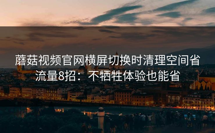 蘑菇视频官网横屏切换时清理空间省流量8招：不牺牲体验也能省