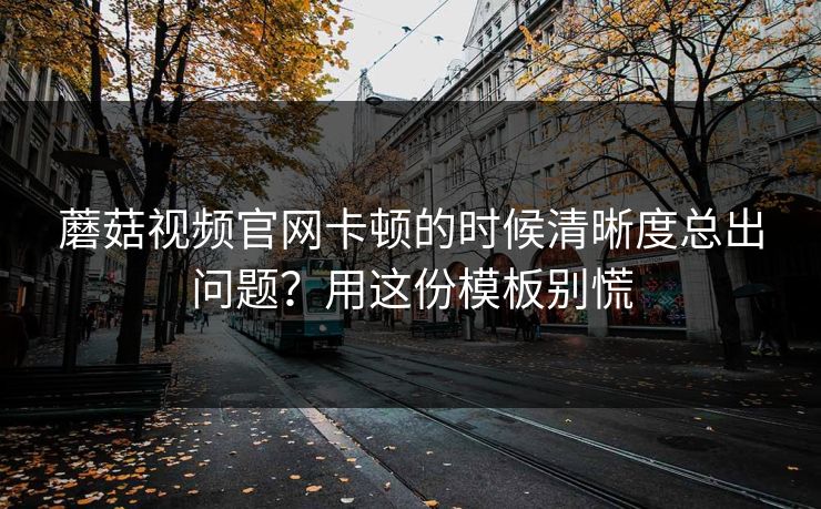 蘑菇视频官网卡顿的时候清晰度总出问题？用这份模板别慌