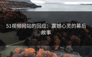 51视频网站的回应：震撼心灵的幕后故事