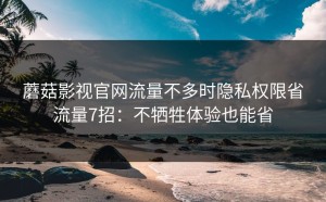 蘑菇影视官网流量不多时隐私权限省流量7招：不牺牲体验也能省
