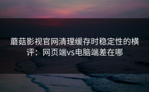 蘑菇影视官网清理缓存时稳定性的横评：网页端vs电脑端差在哪