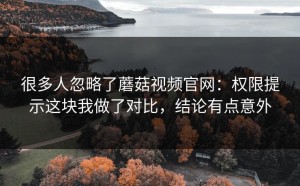 很多人忽略了蘑菇视频官网：权限提示这块我做了对比，结论有点意外