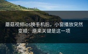 蘑菇视频ios换手机后，小窗播放突然变顺：原来关键是这一项