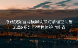 蘑菇视频官网横屏切换时清理空间省流量8招：不牺牲体验也能省