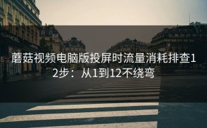 蘑菇视频电脑版投屏时流量消耗排查12步：从1到12不绕弯