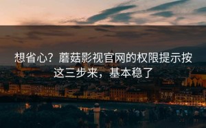 想省心？蘑菇影视官网的权限提示按这三步来，基本稳了