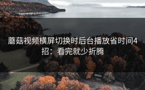 蘑菇视频横屏切换时后台播放省时间4招：看完就少折腾