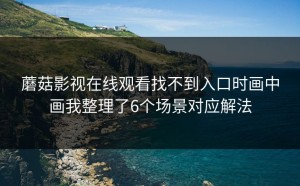 蘑菇影视在线观看找不到入口时画中画我整理了6个场景对应解法