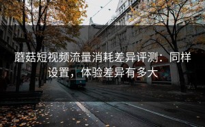 蘑菇短视频流量消耗差异评测：同样设置，体验差异有多大