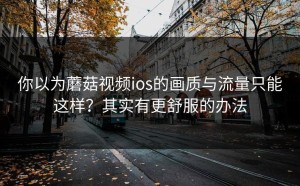 你以为蘑菇视频ios的画质与流量只能这样？其实有更舒服的办法