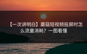 【一次讲明白】蘑菇短视频投屏时怎么流量消耗？一图看懂