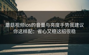 蘑菇视频ios的音量与亮度手势我建议你这样配：省心又稳这招很稳