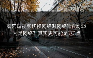 蘑菇短视频切换网络时网络适配你以为是网络？其实更可能是这3点