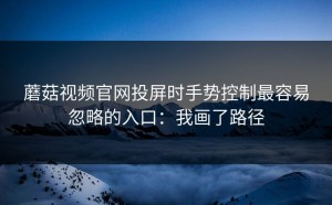 蘑菇视频官网投屏时手势控制最容易忽略的入口：我画了路径