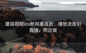 蘑菇视频ios断网重连后：播放进度别靠猜，照这做