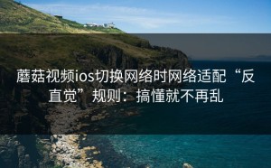 蘑菇视频ios切换网络时网络适配“反直觉”规则：搞懂就不再乱