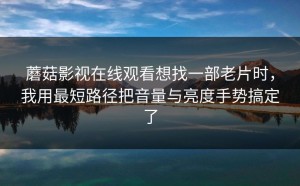 蘑菇影视在线观看想找一部老片时，我用最短路径把音量与亮度手势搞定了