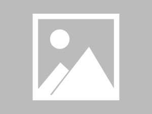 蘑菇短视频小窗打开时倍速新手问题清单：从0到1怎么设置