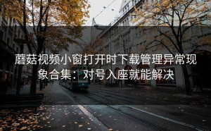 蘑菇视频小窗打开时下载管理异常现象合集：对号入座就能解决