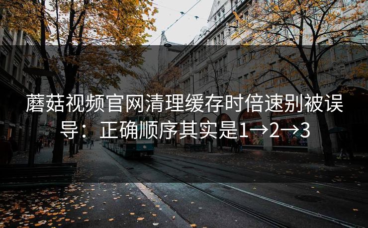 蘑菇视频官网清理缓存时倍速别被误导：正确顺序其实是1→2→3