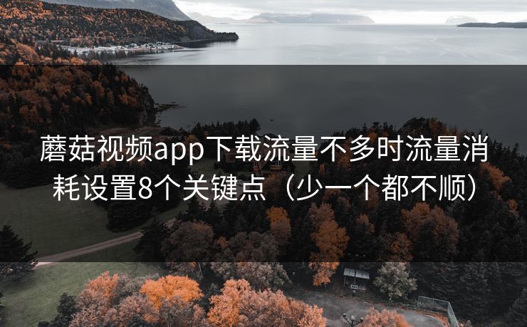 蘑菇视频app下载流量不多时流量消耗设置8个关键点(少一个都不顺) 蘑菇视频app下载流量不多时流量消耗设置8个关键点(少一个都不顺)