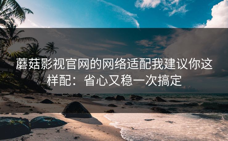 蘑菇影视官网的网络适配我建议你这样配：省心又稳一次搞定