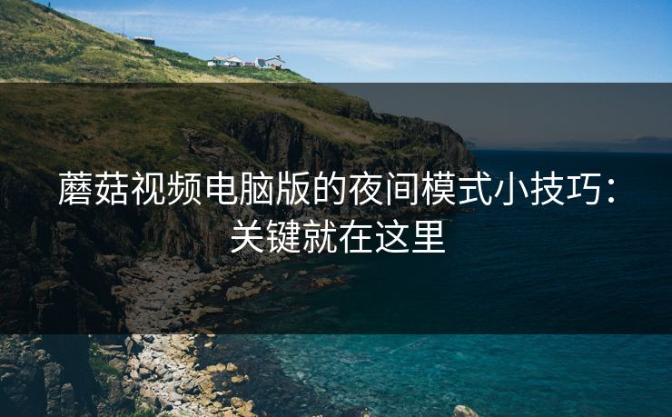 蘑菇视频电脑版的夜间模式小技巧：关键就在这里