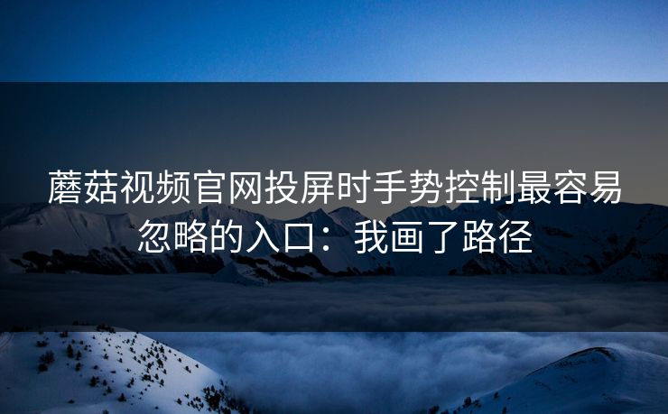 蘑菇视频官网投屏时手势控制最容易忽略的入口：我画了路径