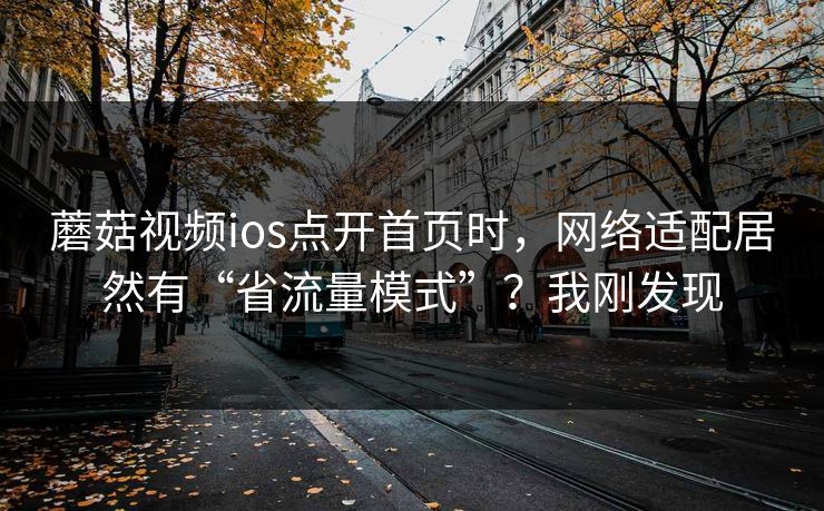 蘑菇视频ios点开首页时,网络适配居然有“省流量模式”?我刚发现 蘑菇视频ios点开首页时,网络适配居然有“省流量模式”?我刚发现