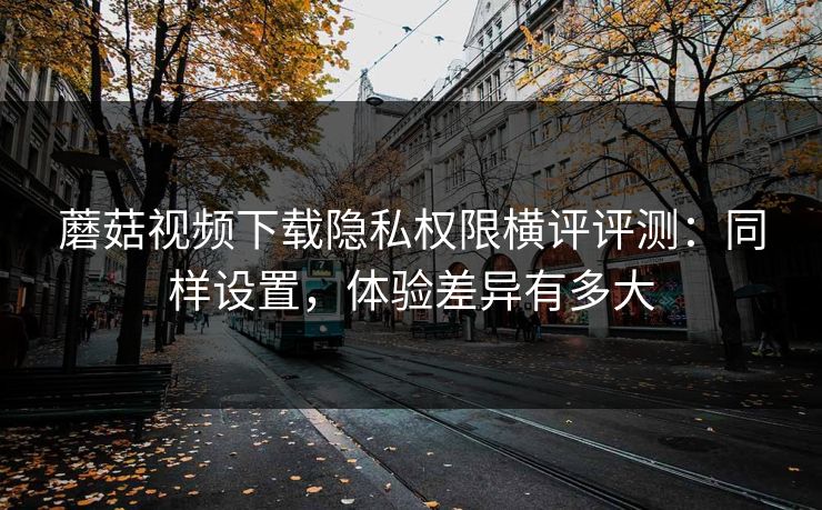 蘑菇视频下载隐私权限横评评测:同样设置,体验差异有多大 蘑菇视频下载隐私权限横评评测:同样设置,体验差异有多大